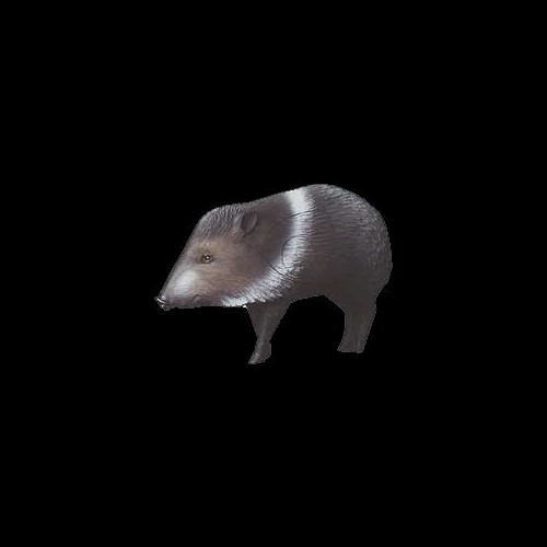 DIANA 3D DELTA JAVELINA 50597