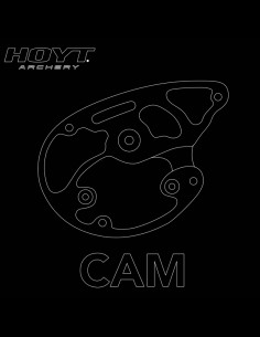 POLEA HOYT EXCEL CAM PLATA