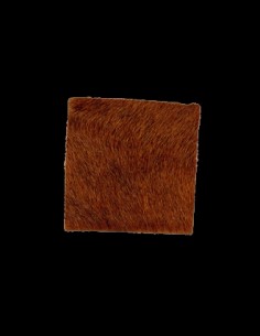 REPOSAFLECHAS TRADITION...