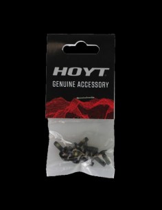 TORNILLO HOYT FIJACION EJE,...