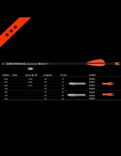 FLECHA AVALON HYBRID, Una